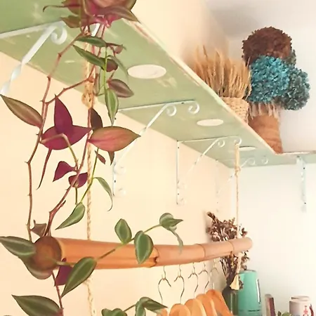 A-tipica * Ponta Delgada