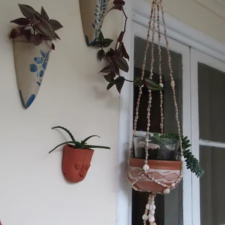 A-tipica Pensionat Ponta Delgada