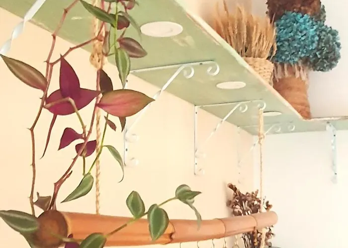 A-tipica * 蓬塔德尔加达