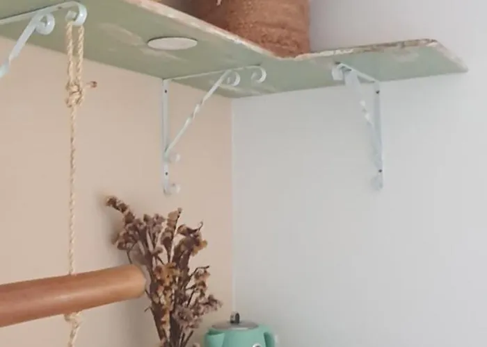 招待所 A-tipica *