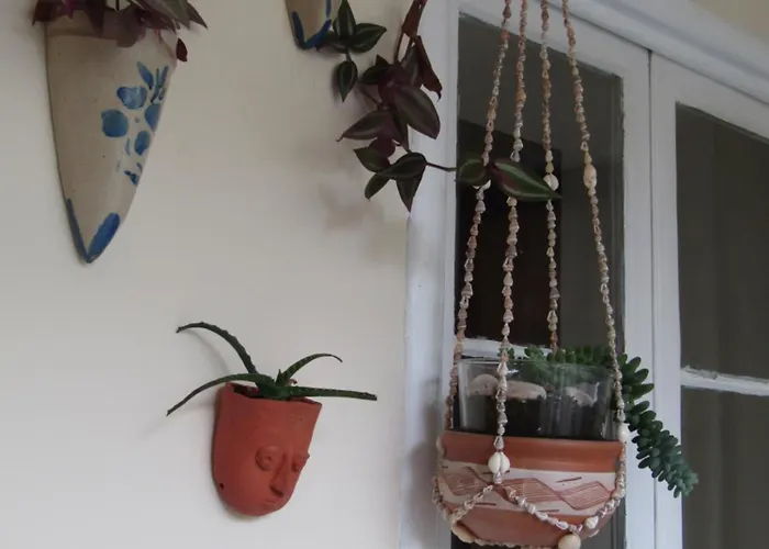 A-tipica 招待所 蓬塔德尔加达